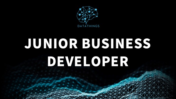 Open position: Junior business developer